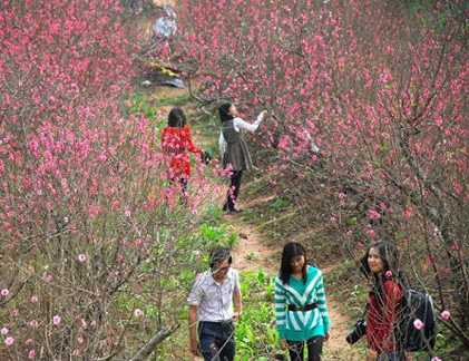 Những ngày cuối năm, Hà Nội hửng nắng hanh dù rét đậm (Ảnh minh họa)