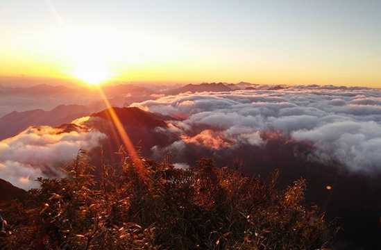 Hành trình lên Fansipan bằng cáp treo khởi điểm từ Thung lũng Mường Hoa (cách thị trấn Sa Pa khoảng 8km). Từ tuyến cáp treo, du khách có thể chiêm ngưỡng khung cảnh thung lũng Mường Hoa và rừng quốc gia Hoàng Liên từ trên cao. Hành trình lên Fansipan bằng cáp treo khởi điểm từ Thung lũng Mường Hoa (cách thị trấn Sa Pa khoảng 8km). Từ tuyến cáp treo, du khách có thể chiêm ngưỡng khung cảnh thung lũng Mường Hoa và rừng quốc gia Hoàng Liên từ trên cao.