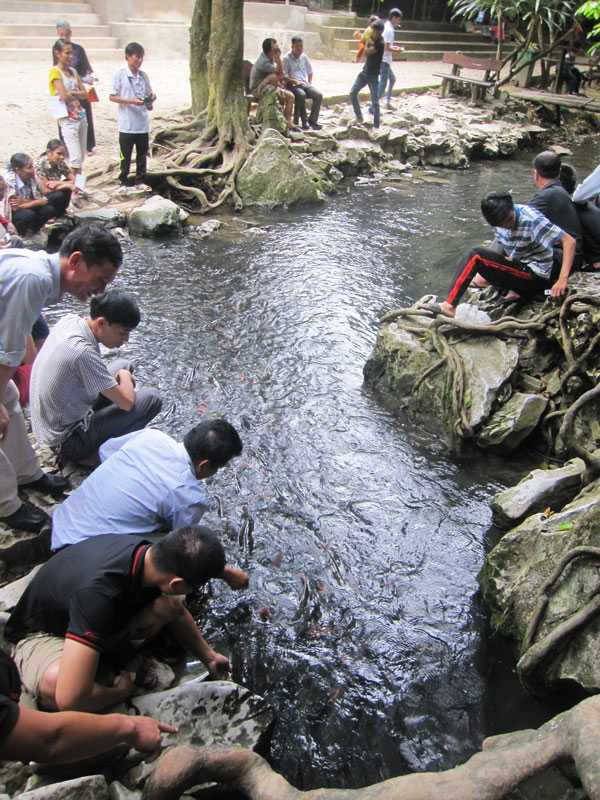 Suối cá ở xã Cẩm Lương