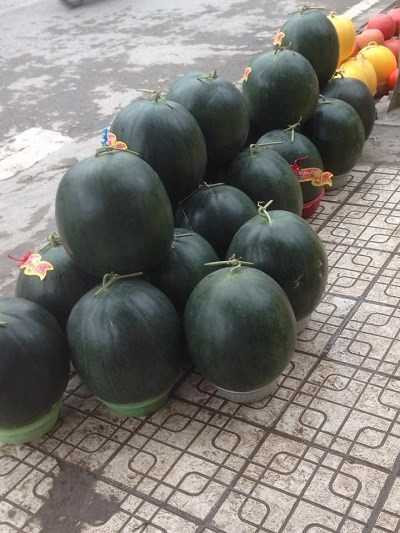 Dưa hấu khổng lồ được bày bán bên lề đường trên các tuyến phố