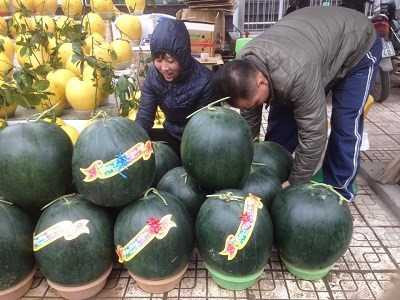 Chủ cửa hàng tranh thủ lúc vắng khách đi nhập hàng về