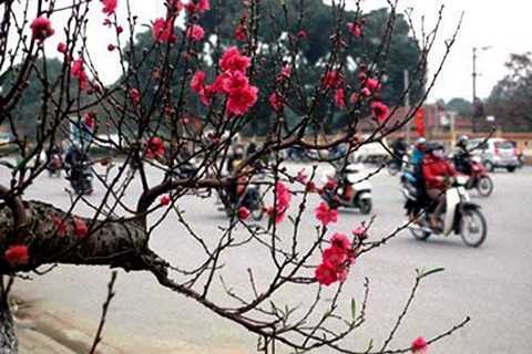 Ngày 28 Tết, không khí lãnh tăng cường ảnh hưởng đến các tỉnh Bắc Bộ và Bắc Trung Bộ, trời rét, vùng núi có khả năng xuất hiện băng giá và sương muối (ảnh minh họa) Ngày 28 Tết, không khí lãnh tăng cường ảnh hưởng đến các tỉnh Bắc Bộ và Bắc Trung Bộ, trời rét, vùng núi có khả năng xuất hiện băng giá và sương muối (ảnh minh họa)