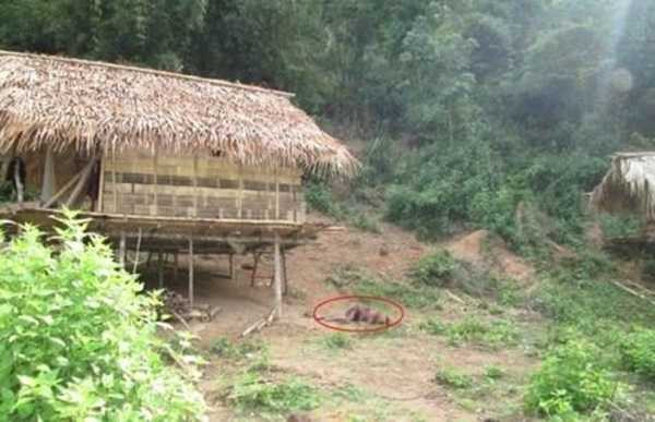 Hiện trường vụ thảm sát ở Nghệ An