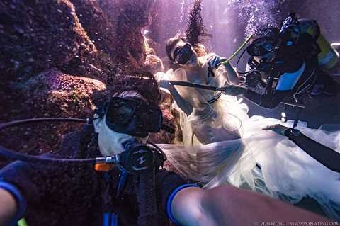 Amber và các thợ lặn khác quyết định chụp ảnh cùng cá mập thật để nâng cao nhận thức của người dân về loài động vật này.