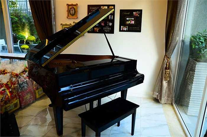 Cây đàn sang trọng.