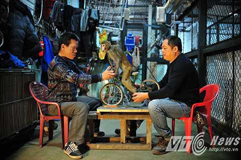 Từ những màn biểu diễn đơn giản nhất như: Đạp xe đạp, đạp xe xích lô, cho tới những tiết mục với độ khó tăng dần như đi thăng bằng trên con lăn hay trồng cây chuối đạp xe…