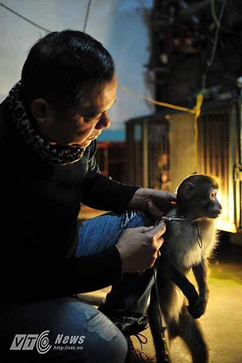 Tuổi làm nghề trung bình của khỉ là 15 năm. Theo nghệ sỹ Nguyễn Chí Quang, để khỉ có thể thực hiện thuần thục từng động tác, người huấn luyện cần có sự kiên nhẫn, không nên nóng vội vì điều này sẽ rất dễ phản tác dụng. Hơn hết, người huấn luyện phải hiểu khỉ, linh hoạt, chủ động thời gian tập luyện.