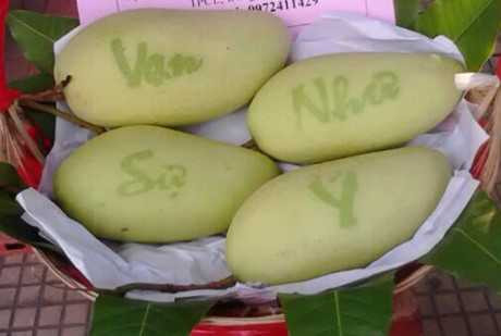 Những loại quả vừa độc, vừa đắt lên ban thờ Tết Bính Thân 2016