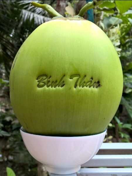 Những loại quả vừa độc, vừa đắt lên ban thờ Tết Bính Thân 2016