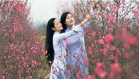 Thời tiết trong những ngày Tết ngày có nắng, đêm rét buốt (ảnh minh họa)