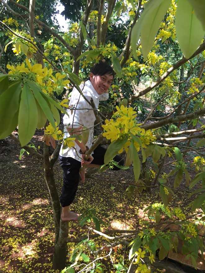 Sao Việt đón Tết