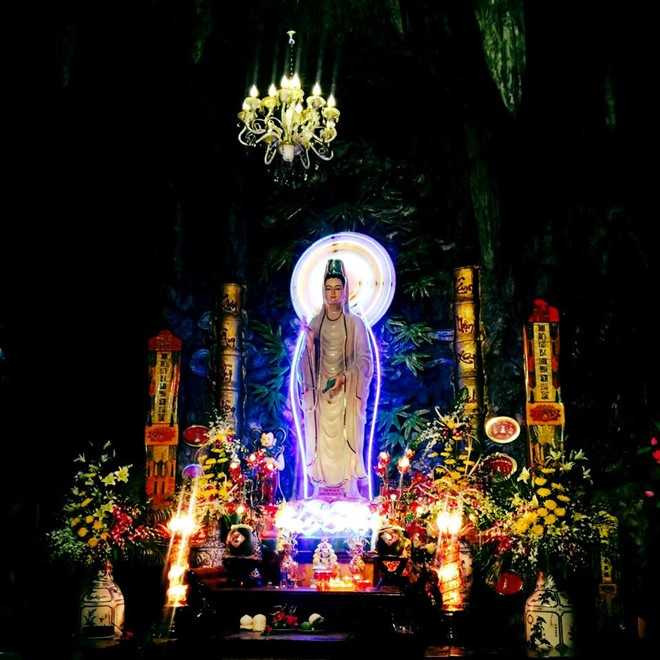 Sao Việt đón Tết