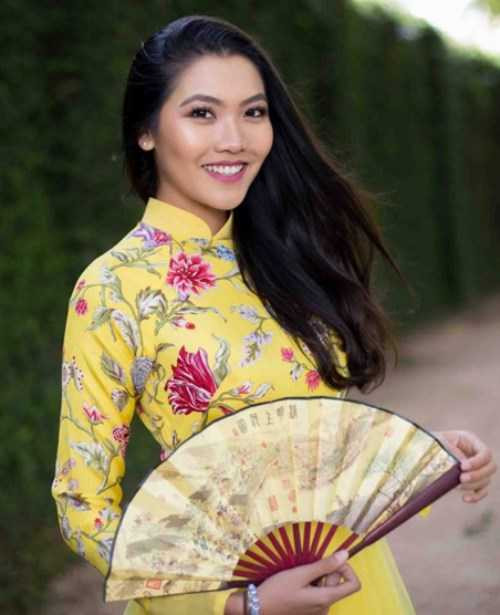 Vũ Nam Phương, Hoa khôi Du học sinh Việt Nam 2015