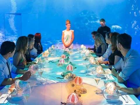 1. Sublimotion, Ibiza, Tây Ban Nha (thực đơn đắt nhất trị giá 3.377 USD/2 người, gồm 20 món): Nhà hàng đắt đỏ này thuộc khách sạn Hard Rock ở Ibiza, do bếp trưởng Paco Roncero điều hành. Với khoảng 25 nhân viên phục vụ, các thực khách sẽ có những trải nghiệm tuyệt vời như thưởng thức cocktail tự pha chế, ngắm hình chiếu 360 độ và các món ăn được chế biến theo kĩ thuật sáng tạo. 