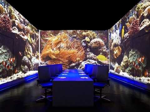 2. Ultraviolet, Thượng Hải, Trung Quốc (Từ 1.254 USD/2 người, 20 món tính cả rượu): Nhà hàng Ultraviolet của bếp trưởng Paul Pairet sẽ phục vụ bữa ăn kéo dài 4 tiếng trên nền nhạc và hình ảnh kèm theo. Chẳng hạn món cá và khoai tây của bếp trưởng Pairet xuất hiện khi mưa rơi trên tường và những bài hát của The Beatles vang lên, gợi không khí nước Anh cho thực khách. 