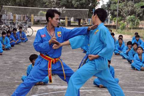 Phản đòn đấm trong Vovinam. Phản đòn đấm trong Vovinam.
