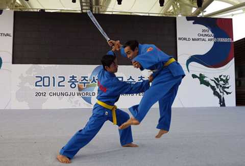 Phản đòn chống vũ khí trong Việt võ đạo. Phản đòn chống vũ khí trong Việt võ đạo.