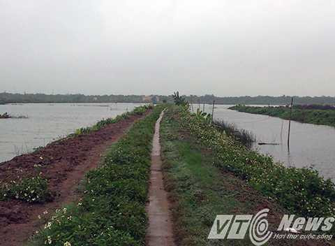 Con đường này mới cách đây cỏ dại còn mọc um tùm, giờ đã được cải tạo, dâng lập, xe <a href='https://vtcnews.vn/oto-xe-may.31.0.html' >ô tô</a> chạy xuống tận đầm - Ảnh MK