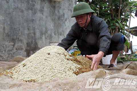 Ông Vươn đang trộn hỗn hợp thức ăn cho vịt biển sạch - Ảnh MK