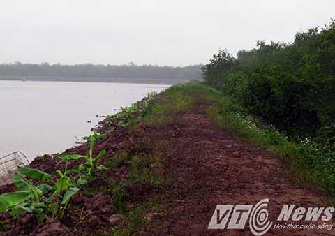 Bờ đầm lau sậy, cỏ dại mọc um tùm cao ngất đầu người ngày nào giờ đã được cải tạo, chuẩn bị sau dịp sau Tết Nguyên đán gia đình ông sẽ trồng xả đồng loạt, lấy nguyên liệu chưng cất dầu xả ngay tại khu đầm này - Ảnh MK