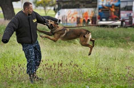 Các bài tập tấn công mục tiêu