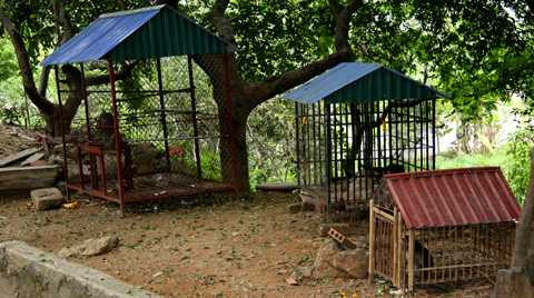 Khu chuồng nuôi khỉ ở chùa Nhẫm Dương Khu chuồng nuôi khỉ ở chùa Nhẫm Dương