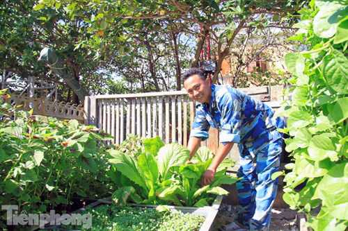 Các chiến sĩ chăm sóc vườn rau hàng ngày
