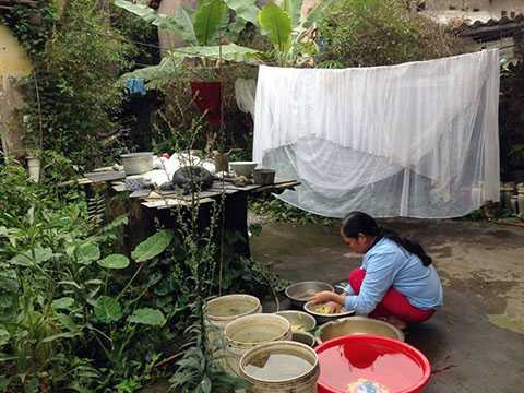 Người vợ thứ 16 của ông Hành. Người vợ thứ 16 của ông Hành.