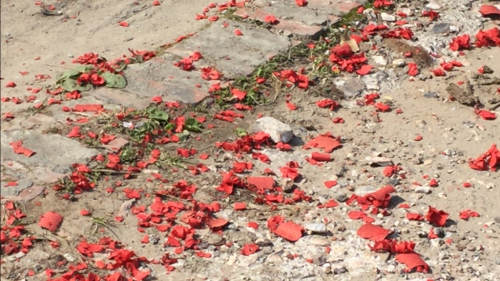 Xác pháo tại một số xã ven thị trấn Vĩnh Bảo