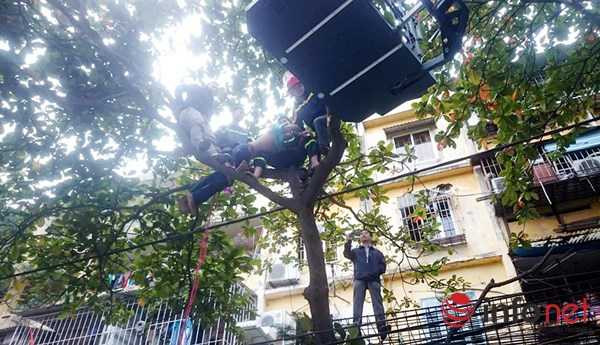 Cơ quan công an bắt người đàn ông nghi “ngáo đá” trèo trên cây xanh đập phá.