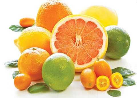Các loại quả như cam, quýt, chanh,...cung cấp một lượng vitamin C phong phú và mang lại may mắn đầu năm. Ảnh minh họa. Các loại quả như cam, quýt, chanh,...cung cấp một lượng vitamin C phong phú và mang lại may mắn đầu năm. Ảnh minh họa.