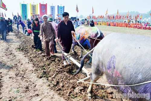Các lãnh đạo cấp cao xuống ruộng cày khai hội Tịch điền Đọi Sơn