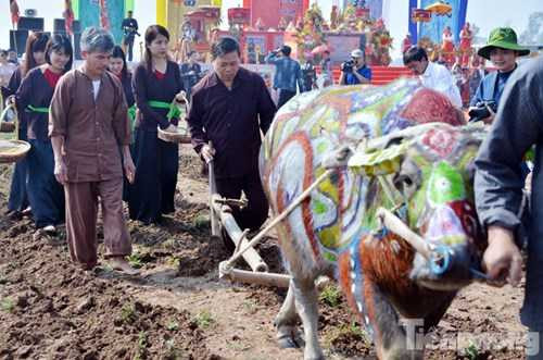 Các lãnh đạo cấp cao xuống ruộng cày khai hội Tịch điền Đọi Sơn