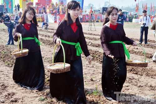 Những hạt giống được gieo xuống mang theo mong muốn một năm mưa thuận gió hòa, mùa màng bội thu.