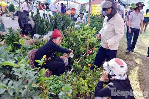 Khu vực bán cây ăn quả như chanh, nhãn, ổi, táo,... luôn đông người.