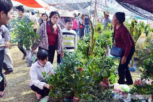 Hàng ngàn người đổ về chợ Viềng chờ 'mua may bán rủi'