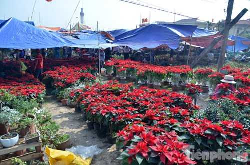 Hàng ngàn người đổ về chợ Viềng chờ 'mua may bán rủi'