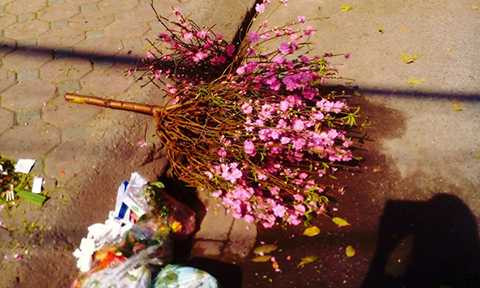 Hết Tết, đào Tết, chất thành rác, Bính Thân, bãi rác, Hà Nội, công nhân vệ sinh