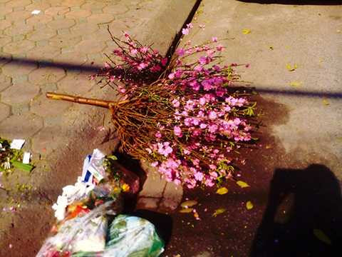 Hết Tết, đào Tết, chất thành rác, Bính Thân, bãi rác, Hà Nội, công nhân vệ sinh