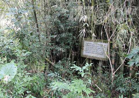 Bia thảm sát Tổng Chúp