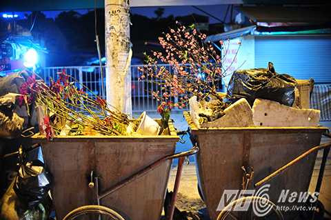 Sau Tết Nguyên đán Bính Thân 2016, nhiều cành đào được người dân mua về trưng trong nhà trước Tết bị vứt bỏ ngoài đường. 