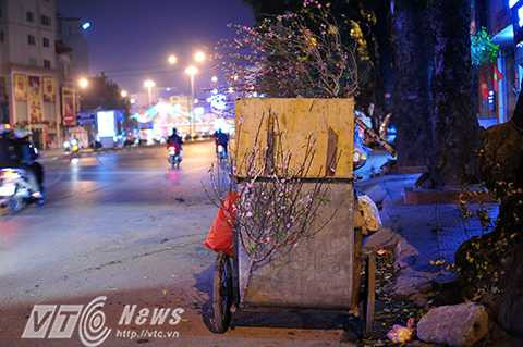 Những ngõ đầu khu dân cư thường là nơi tập kết “xác” đào, quất. Dọc đường Láng, Cầu Giấy, Hào Nam rất nhiều những cành đào có kích thước từ nhỏ tới lớn bị vứt chỏng chơ trên vỉa hè, trong thùng rác.