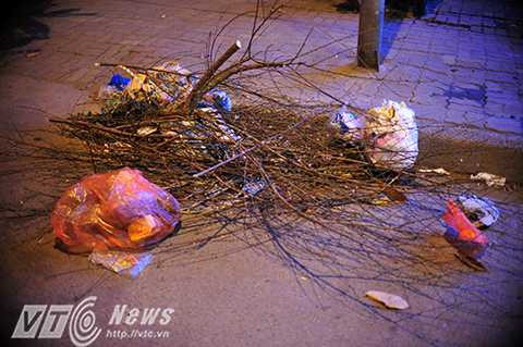 Những sắc xuân tàn trên đường phố Hà Nội.