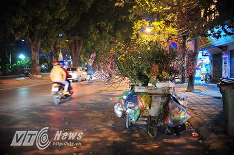 Một cành đào vẫn còn tươi, nhiều hoa bị vứt bỏ trên vỉa hè đường Láng (Đống Đa, Hà Nội).