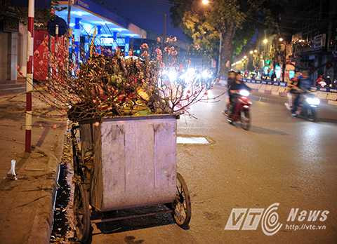 Dù còn tươi hay đã tàn hoa, sau Tết, các cành đào đều chịu chung số phận.