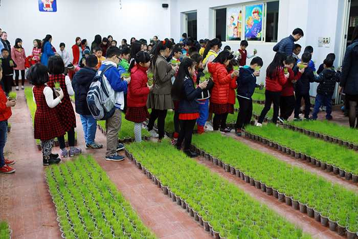 Các bạn nhỏ rất hào hứng khi được tham gia vào các công đoạn xếp hình bản đồ Việt Nam