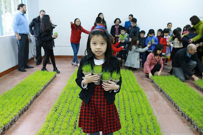 Nhiều học sinh thích thú khi phân biệt được mạ non và cỏ