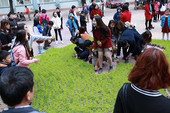 Học sinh Hà Thành xếp hình bản đồ Việt Nam bằng hơn 10.000 chậu mạ non