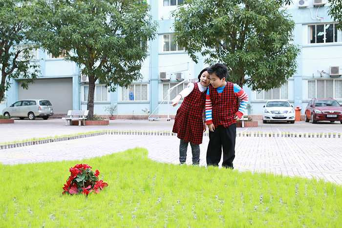 Học sinh Hà Thành xếp hình bản đồ Việt Nam bằng hơn 10.000 chậu mạ non