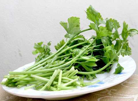 Rau cần, hẹ, bí đao bài trừ độc tố ra khỏi cơ thể. Ảnh minh họa Rau cần, hẹ, bí đao bài trừ độc tố ra khỏi cơ thể. Ảnh minh họa